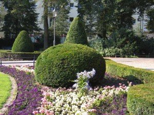 Landscape Gardening Newport