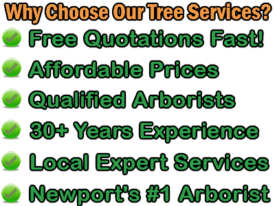 Newport Tree Services